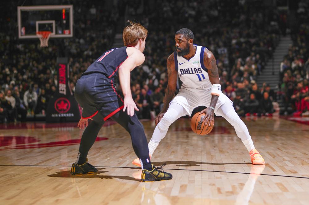 不仅可以自 不仅可以自